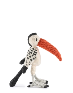 Maurice the Western Hornbill