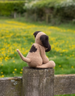 Alison the Great Dane
