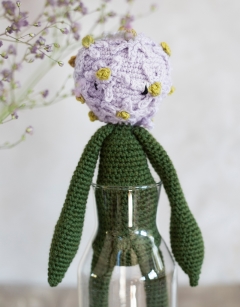Allium