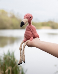 Cindy the American Flamingo Kit