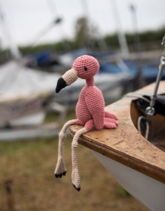 Cindy the American Flamingo