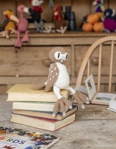 Barney the Barn Owl