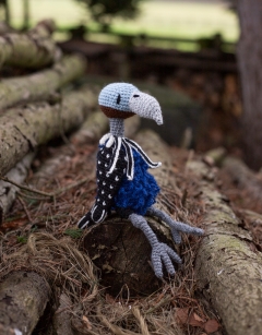 Agatha the Vulturine Guinea Fowl
