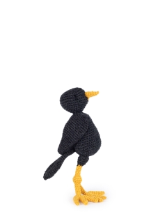 Peter the Blackbird