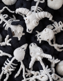 Large Bat Skeleton