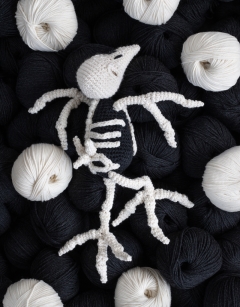 Large Raven Skeleton
