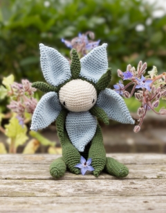 Starflower