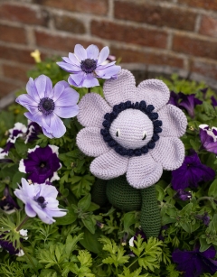 Anemone