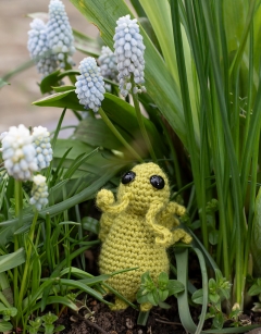 Gwendolyn the Aphid Kit