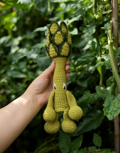 Asparagus