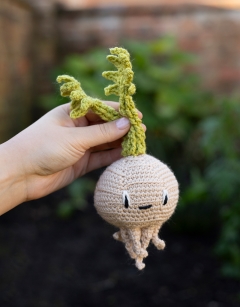 Baby Celeriac