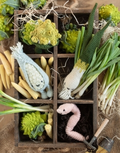 Baby Sweetcorn