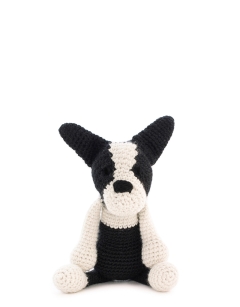 Barney the Boston Terrier 