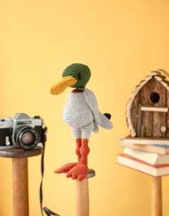Duo of Dabbling Ducks