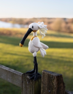 Annika the Eurasian Spoonbil
