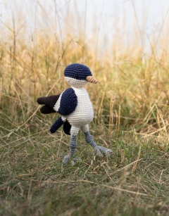 Chatsworth the House Martin