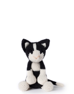 Paddy the Black and White Cat