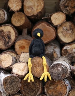 Peter the Blackbird