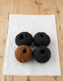 Joan the Bonobo 