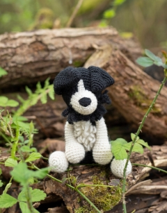 Daisy the Sheepdog
