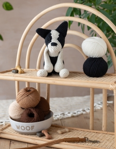 Barney the Boston Terrier 