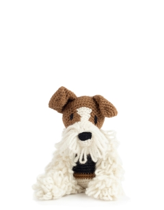Brandon the Wire Fox Terrier