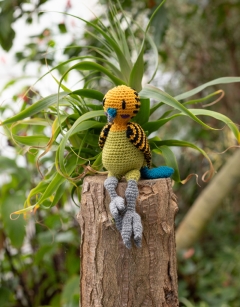 Terence the Budgerigar