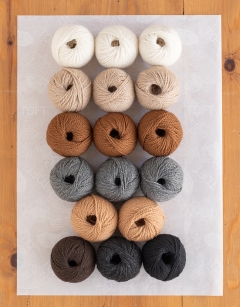 Wild Paws Bundle