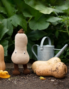 Butternut Squash