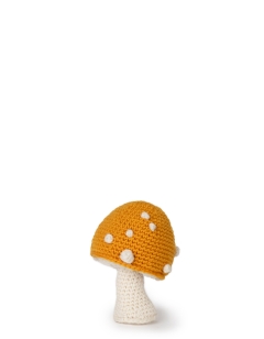 Button Toadstool