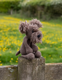 Heather the Cairn Terrier