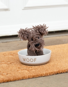 Heather the Cairn Terrier