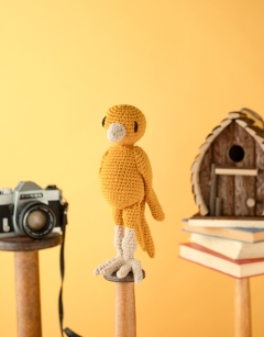Ernest the Canary Kit
