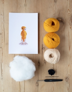 Ernest the Canary Kit
