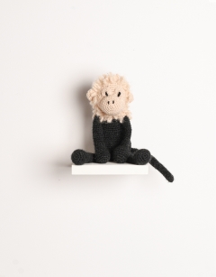 Theodor the Capuchin Monkey