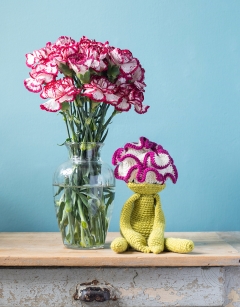 Carnation