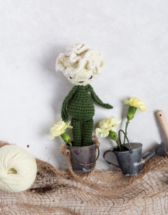 Mini Carnation
