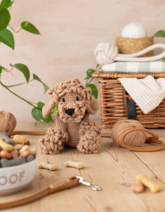 Pepper the Cavapoo