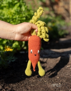 Chantenay Carrot