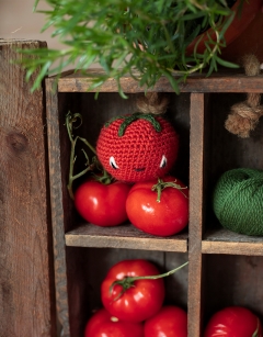 Cherry Tomatoes Kit