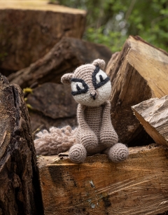 Noel the Chipmunk