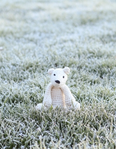Mini Piotr the Polar Bear