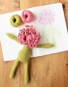 Chrysanthemum