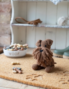 Connor the Irish Terrier