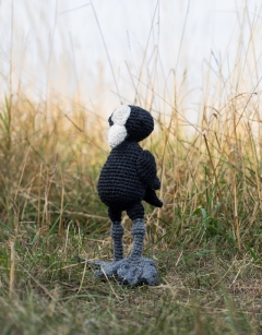 Vivien the Coot