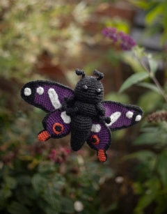 Angelo the Purple Emperor Butterfly