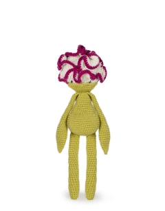 Carnation