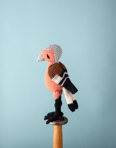 Ambrose the Chaffinch