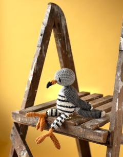 Quentin the Common Cuckoo 