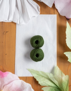 Lily Pad